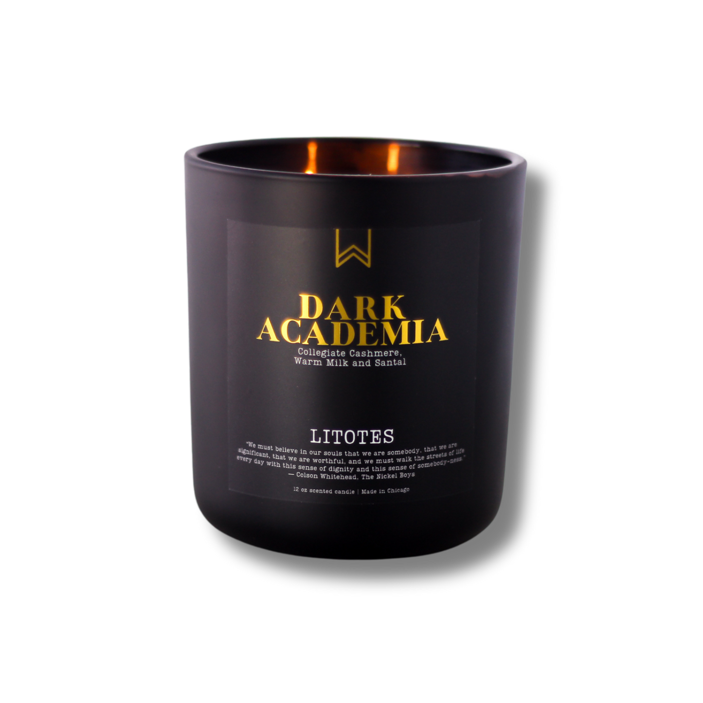 A black candle with the label 'DARK ACADEMIA' written in gold, along with the scent notes 'Collegiate Cashmere, Warm Milk and Santal'.