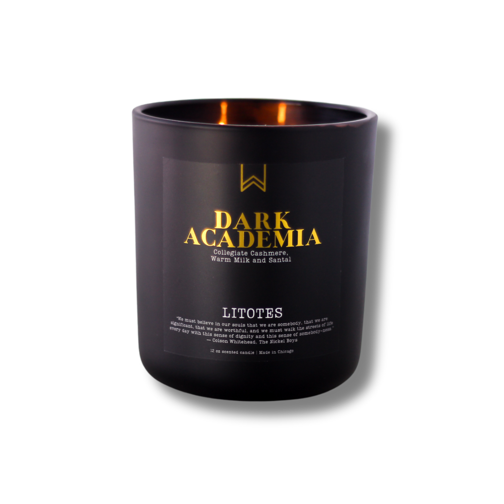 A black candle with the label 'DARK ACADEMIA' written in gold, along with the scent notes 'Collegiate Cashmere, Warm Milk and Santal'.